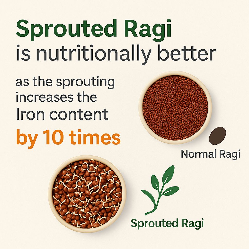 Eat5 Sprouted Ragi Flour Healthy & Instant (500g) | High in Calcium & Iron | 100% Natural, Gluten-Free & Vegan | Ideal for Porridge, Rotis, Pancakes & More | No Preservatives